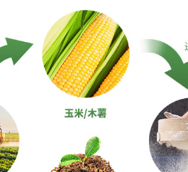 如何选购上海餐盒餐具