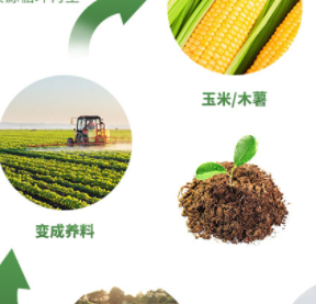 全降解餐盒的优点有哪些