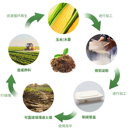 摒弃传统塑料餐盒，使用环保餐盒已成趋势