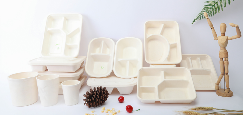 全降解餐盒使用量不断增加的原因