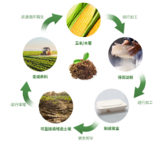 评价高的全降解一次性打包饭盒