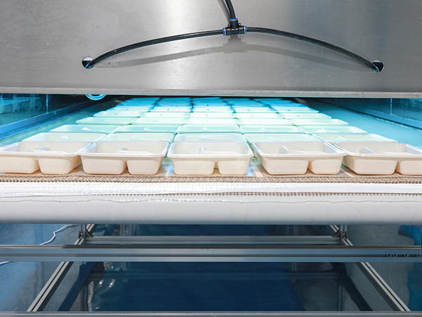 餐盒批发需要注意哪些关键要点