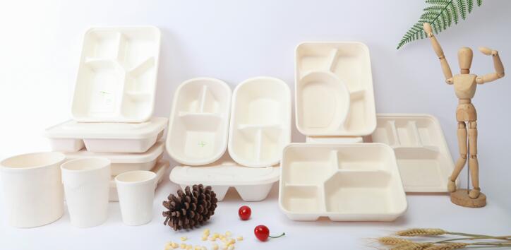 符合哪些特性的一次性打包饭盒才值得选择