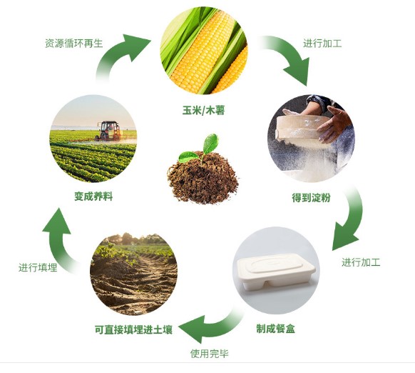关于可降解的一次性打包盒